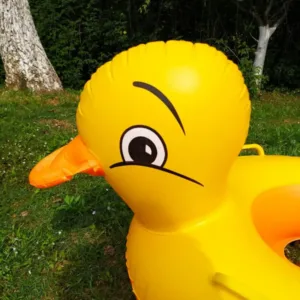 Bateau pour enfants. Plongez dans le plaisir estival avec la bouée gonflable pour des souvenirs inoubliables.