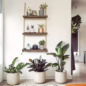 Étagère murale rustique pour plantes et décoration
