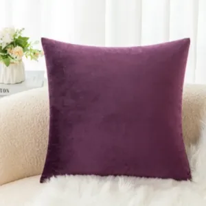 Coussin velours luxe sur un fauteuil en cuir.