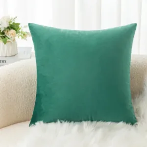 Coussin velours luxe dans une salle de séjour moderne.