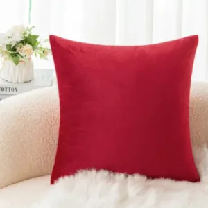 Coussin décoratif en velours luxe sur un canapé gris