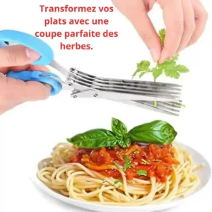 ciseaux coupe herbes cuisine