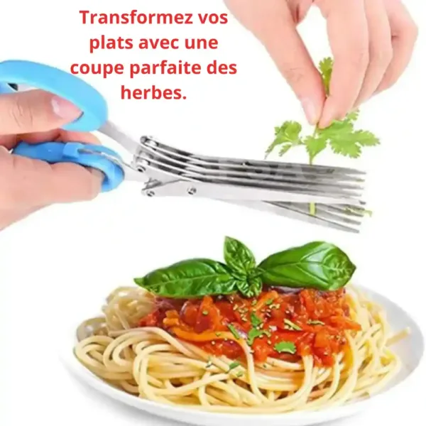 ciseaux coupe herbes cuisine