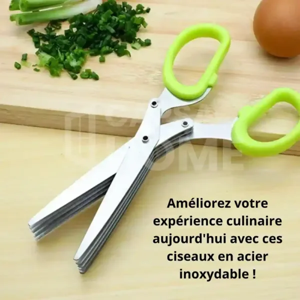 ciseaux inoxydables multiples lames