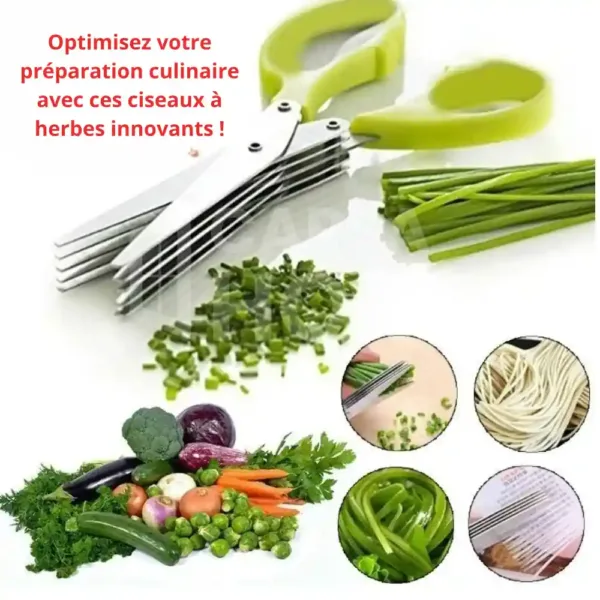 outil cuisine coupe herbes