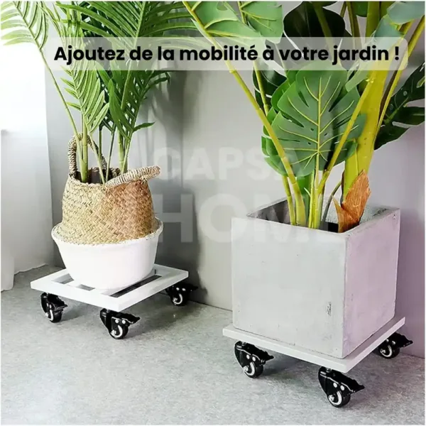 Support plantes métal roulettes