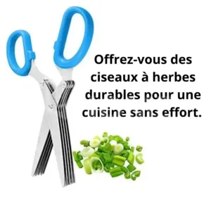 ciseaux cuisine multilames