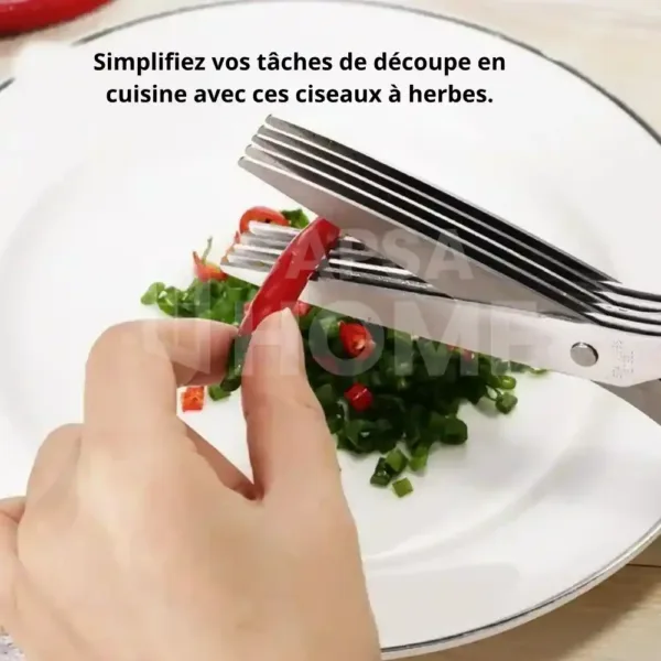 ciseaux herbes durables