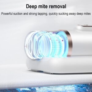 Hygiène domestique avec aspirateur UV