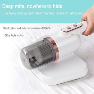 Santé et propreté avec aspirateur UV