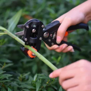 Grafting tool pour branches d'arbres