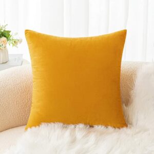 Coussin décoratif velours Jaguar 40x40 cm