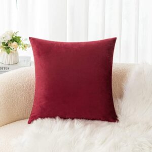 Pack de 4 coussins élégants en velours