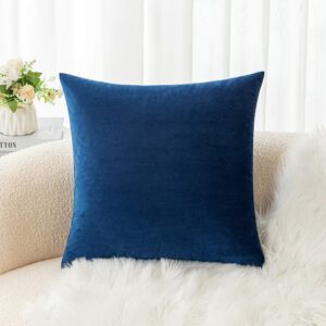 Coussin velours Jaguar pour chambre