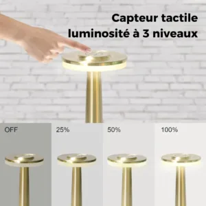 Lampe tactile LED pour restaurant et maison